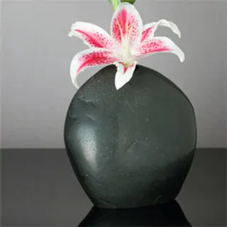 Black Vase