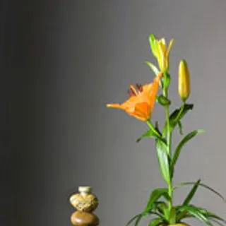 Vases